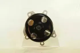 WPN-117 AISIN Водяной насос